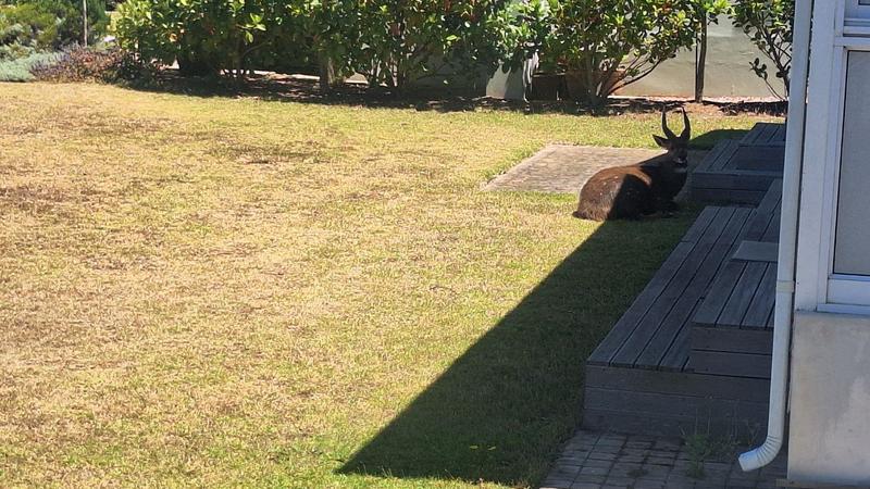 4 Bedroom Property for Sale in Pinnacle Point Golf Estate Western Cape